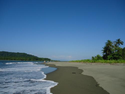 a beach with a few people walking on the sand at Hotel Veragua River House in Sierpe
