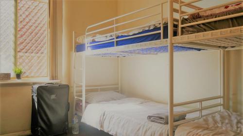 1 dormitorio con 2 literas y 1 maleta en myOZexp Palmerston Lodge, en Perth