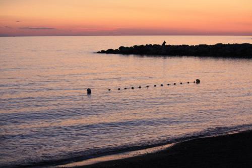 a person in the water at the beach at sunset at Lungomare Hotel in Marina di Cecina