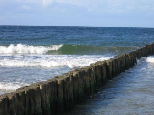 a bird standing on a pier in the ocean at Kuddels Fischerhus 2 in Börgerende-Rethwisch