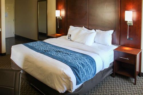 Katil atau katil-katil dalam bilik di Comfort Inn & Suites Near Six Flags & Medical Center