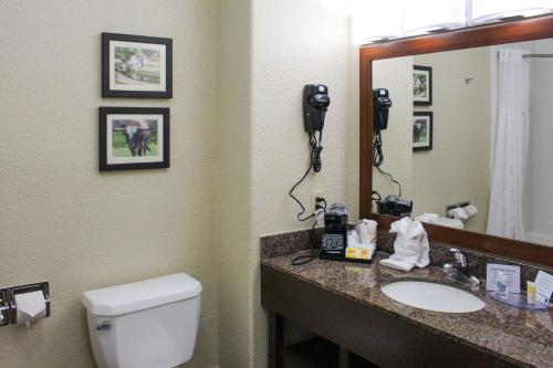 Bilik mandi di Comfort Inn & Suites Near Six Flags & Medical Center