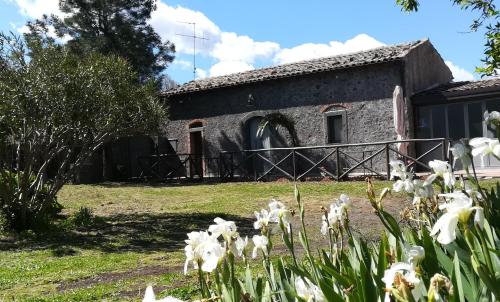 an old stone building with white flowers in front of it at POGGIO ROSETO in Randazzo