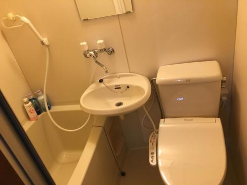 a small bathroom with a toilet and a sink at コンドミニアムホテル Stay inn Blue in Hukue
