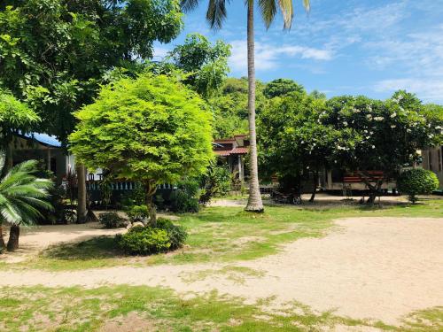 a house with a palm tree in a yard at Ibiza Bungalows in Haad Yao