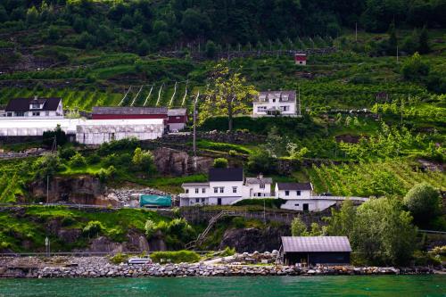 un pueblo en una colina junto al agua en Fjord House en Grimo