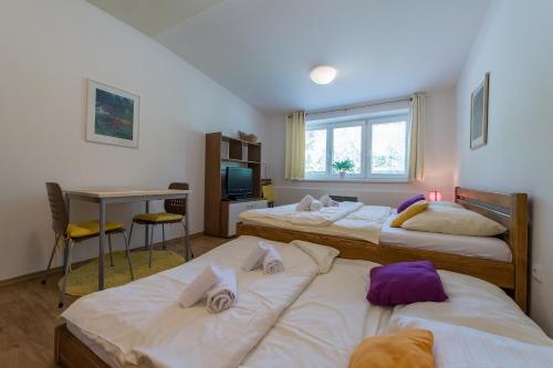 リプノ・ナト・ヴルタヴォウにあるApartmán Lipno 20のベッドルーム1室(ベッド3台、テーブル、デスク付)