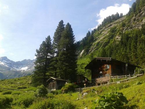 a group of buildings on a hill in a field at Eberl´s Zirbenlodge in Ginzling