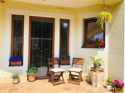 a porch with two chairs and potted plants and windows at Penzion Bělidlo in Kunžak