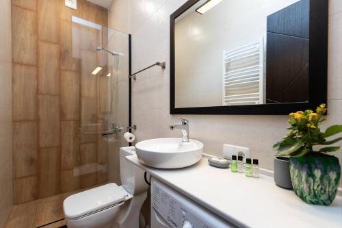 ein Badezimmer mit einem Waschbecken, einem WC und einem Spiegel in der Unterkunft Wehost Apartment for 3 in Tbilisi City
