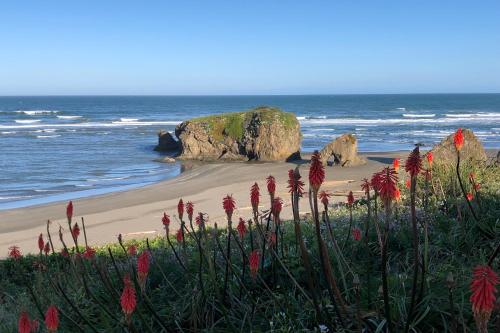 Fotografie z fotogalerie ubytování Dolphin Manor v destinaci Fort Bragg