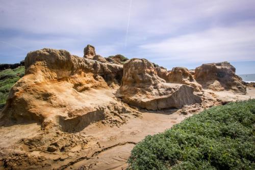 Fotografie z fotogalerie ubytování Dolphin Manor v destinaci Fort Bragg