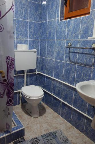 W wyłożonej niebieskimi kafelkami łazience znajduje się toaleta i umywalka. w obiekcie Apartmani Konak Kik w mieście Zaovine