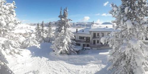 dom pokryty śniegiem i drzewami w obiekcie B&B IL PINO w mieście Pescocostanzo