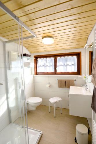 a bathroom with a toilet and a sink at Landhaus Anja in Freudenstadt