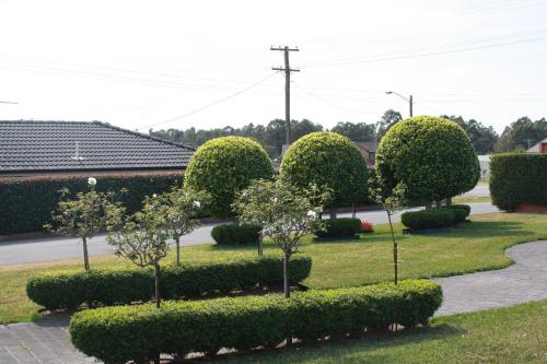 Jardín al aire libre en Hunter Valley Travellers Rest Motel