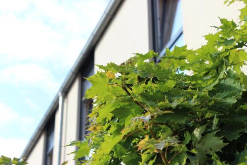 a green tree in front of a building at Arena Hotel in Henstedt-Ulzburg