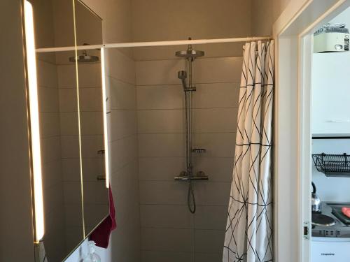 a shower with a shower curtain in a bathroom at Lækjarkot Rooms and Cottages with Kitchen in Borgarnes