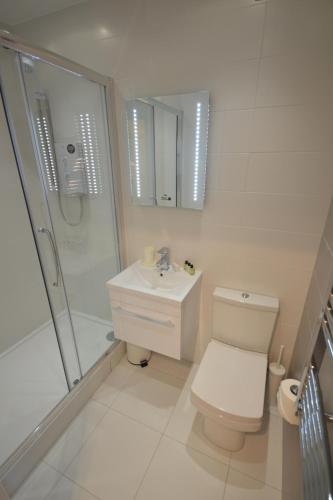 a bathroom with a toilet and a shower and a sink at 3B Soho Studios 3rd floor by Indigo Flats in London