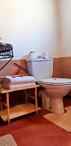 a bathroom with a toilet in a room at Riad Des Vieilles Charrues in Boumalne