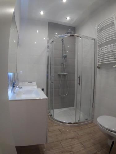 a bathroom with a shower and a sink and a toilet at Apartament na Rybackiej in Kołobrzeg