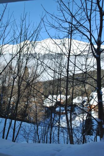 a snow covered mountain in the distance with trees at Les Petits Mélèzes in Crans-Montana