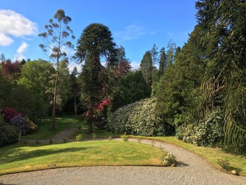 a garden with trees and a gravel road at Ballyteige Lodge in Ballyteige Bridge