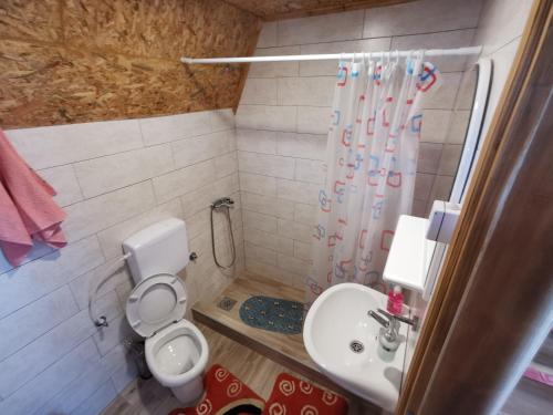 La salle de bains est pourvue de toilettes, d'un lavabo et d'une douche. dans l'établissement B&B Konak, à Plužine