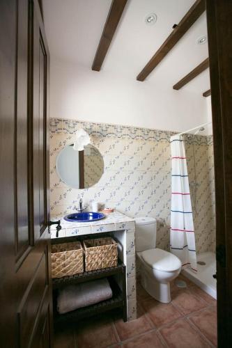 a bathroom with a toilet and a sink and a mirror at Cortijo El Derramadero in Villacarrillo