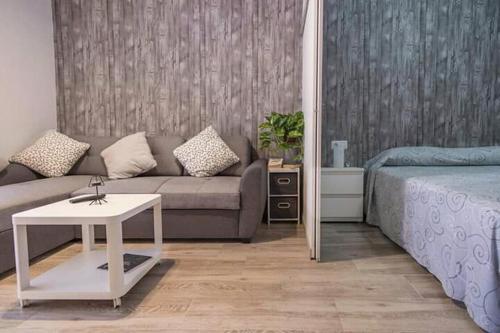 ein Wohnzimmer mit einer Couch und einem Bett in der Unterkunft Apartamento Hidalgo in Puerto de la Cruz