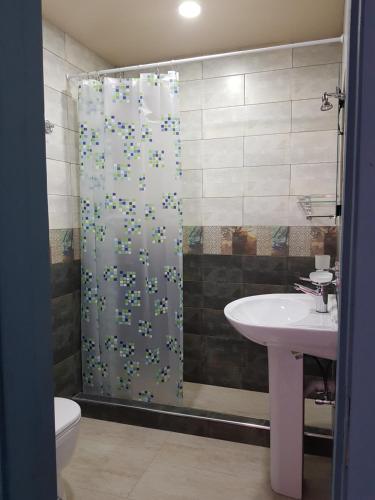 ein Bad mit einem Duschvorhang und einem Waschbecken in der Unterkunft Kobuleti in Kobuleti