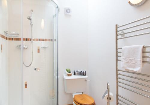 uma casa de banho com um WC e um chuveiro em Bovisand Lodge Holiday Park em Plymouth