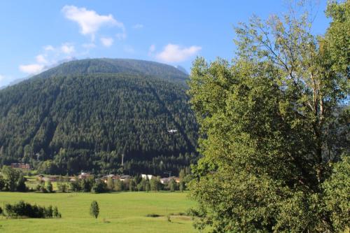 a green field with a mountain in the background at Grande casa di famiglia in Temù