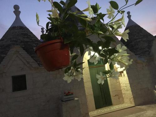 a potted plant in front of a building with a door at Trullo Le Tre Sorelle in Cisternino