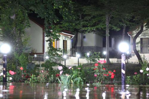 a garden with flowers and street lights at night at Selena in Qusar