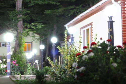 a house with flowers and lights in front of it at Selena in Qusar