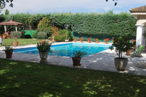 une piscine dans un jardin avec des plantes en pot dans l'établissement El Campillo, à Pelabravo