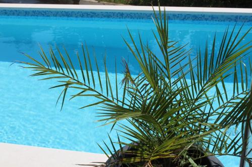 a palm tree next to a swimming pool at Luxury Apartment Antoni in Podstrana