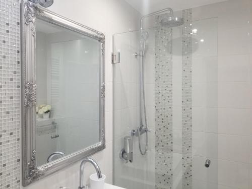 a bathroom with a shower with a mirror and a sink at Stan na dan Angel in Novi Sad