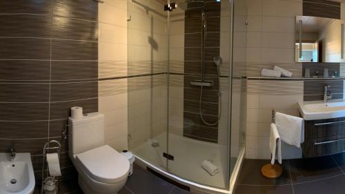 ein Bad mit einer Dusche, einem WC und einem Waschbecken in der Unterkunft zum weißen Ross in Limburg an der Lahn