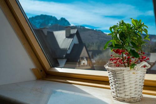 a potted plant sitting on a window sill at Apartamenty Ciche Wzgórze Zakopane in Zakopane