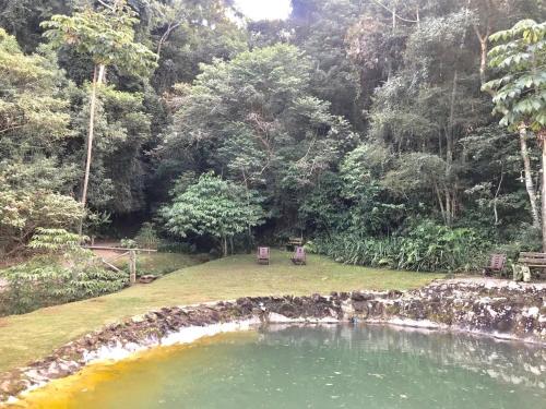 a large pool of water in a yard with trees at Pousada Recanto da Siriema in Monte Alegre do Sul