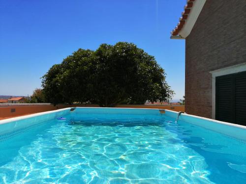 uma piscina em frente a um edifício com uma árvore em D´YELLOW HOUSE - Beach and Countryside em Carqueja