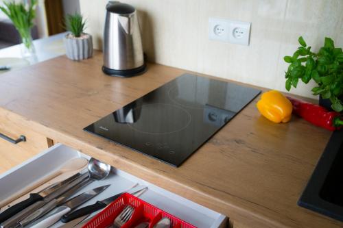a kitchen counter with a stove top in a kitchen at Apartamenty Ciche Wzgórze Zakopane in Zakopane