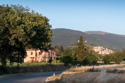 a road with a house on the side of a mountain at Bed & Breakfast Al Pian d'Assisi in Assisi