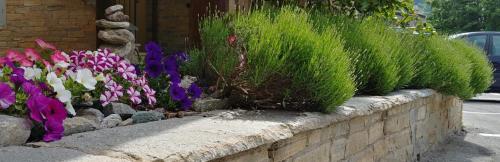 un giardino fiorito con fiori viola e bianco e erba di CHALET SEGGIOVIA a Pontechianale