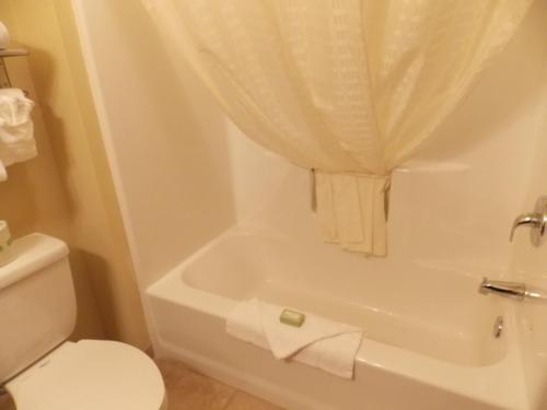 a bathroom with a toilet and a tub with a curtain at AmeriVu inn and Suites - Crookston in Crookston