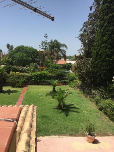 a garden with palm trees and a lawn with plants at Rudy Arenaile in Arenella