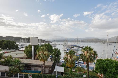 un puerto deportivo con barcos en el agua y palmeras en La Farine Hotel en Fethiye