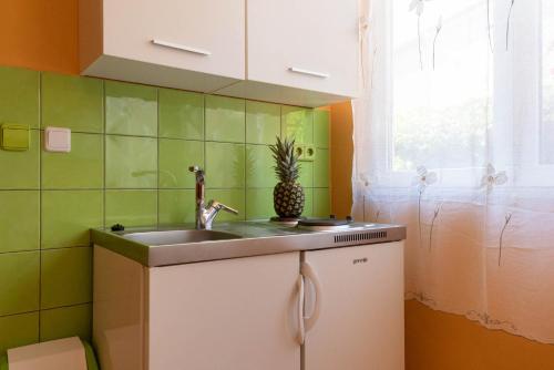 una cocina con fregadero y una piña en la encimera en Apartment Limun en Ližnjan